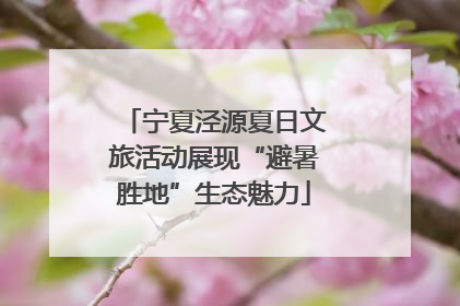 宁夏泾源夏日文旅活动展现“避暑胜地”生态魅力